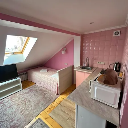 Аpartment For Lady Daire Çernivtsi Dış mekan fotoğraf