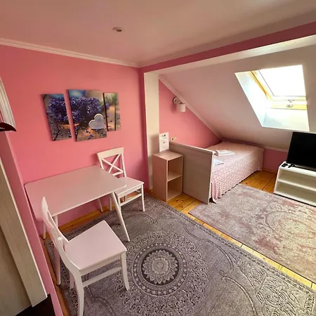 Аpartment For Lady Daire Çernivtsi Dış mekan fotoğraf